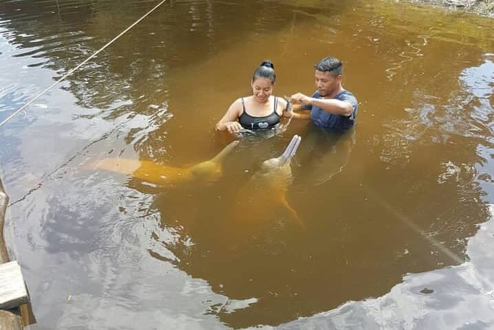 Amazon Jungle Tour Experience