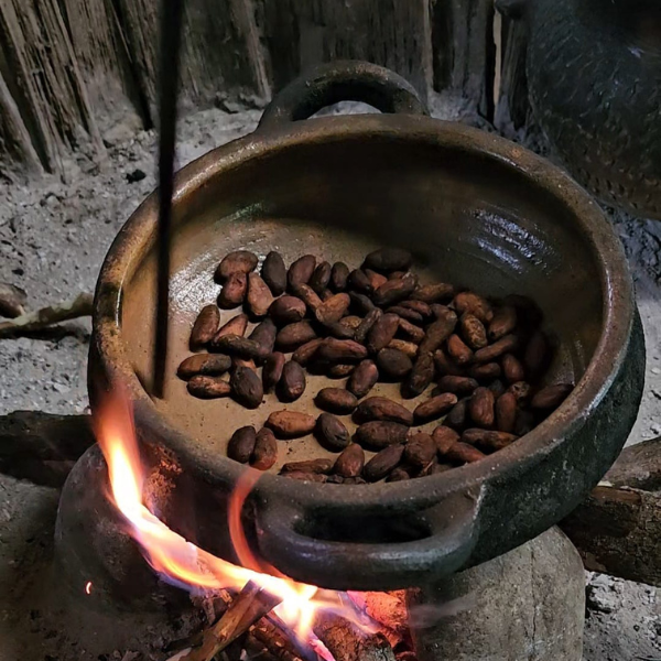 Artisanal Chocolate Experience Amazon Jungle