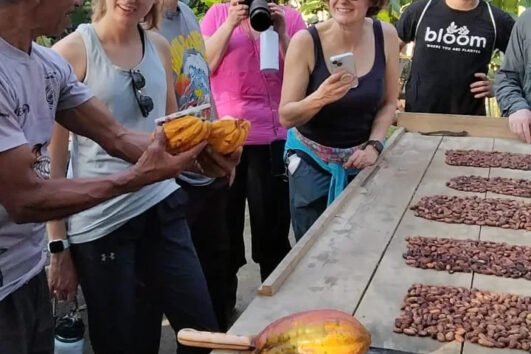 proceso de creación del chocolate