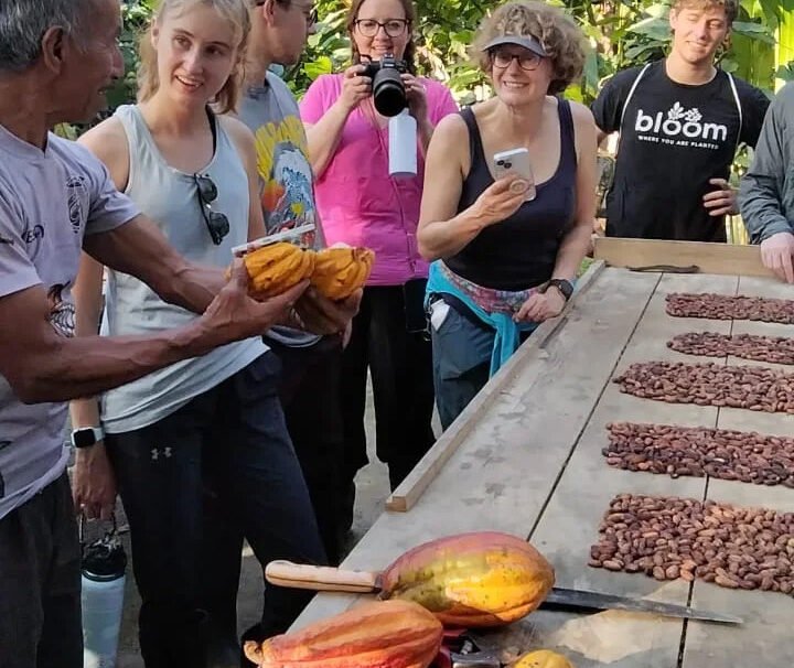 proceso de creación del chocolate